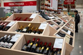 ¿Buscas alimentos saludables y económicos? Estos 5 congelados de Costco, aprobados por nutricionistas, son la solución perfecta para tu dieta.